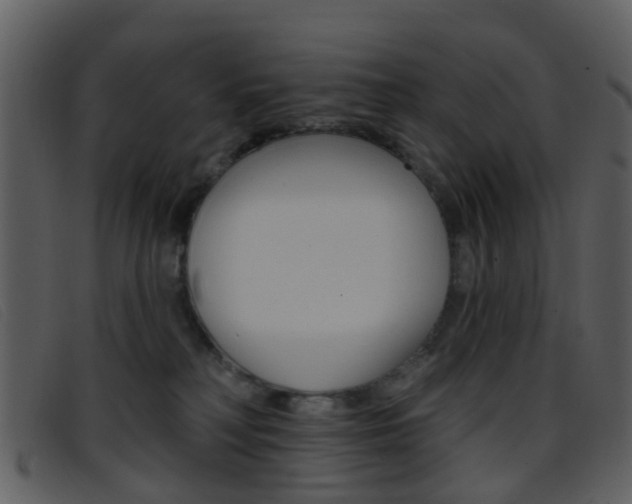 X0000096660230200802051003