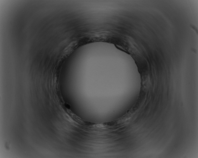 X0000096660231200802051003