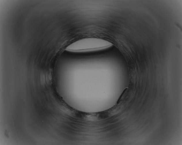 X0000096660232200802051003