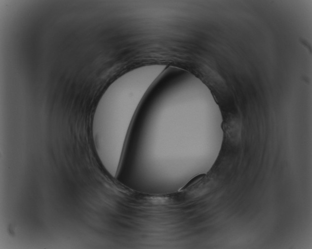 X0000096660233200802051003