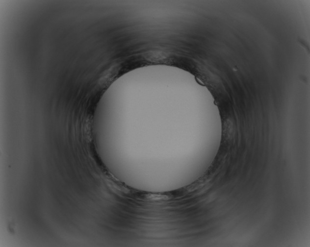 X0000096660234200802051003