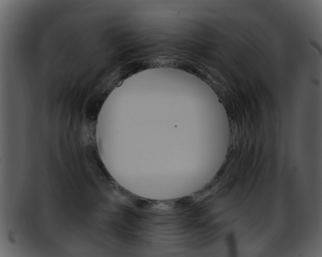 X0000096660236200802051003