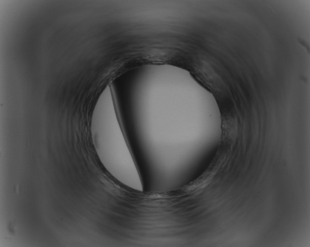 X0000096660237200802051003