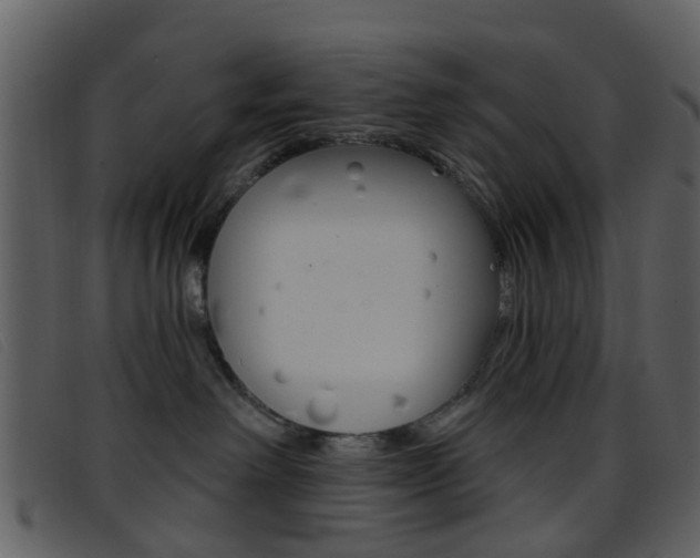 X0000096660238200802051003