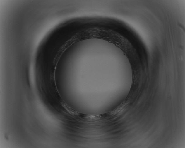 X0000096660239200802051003