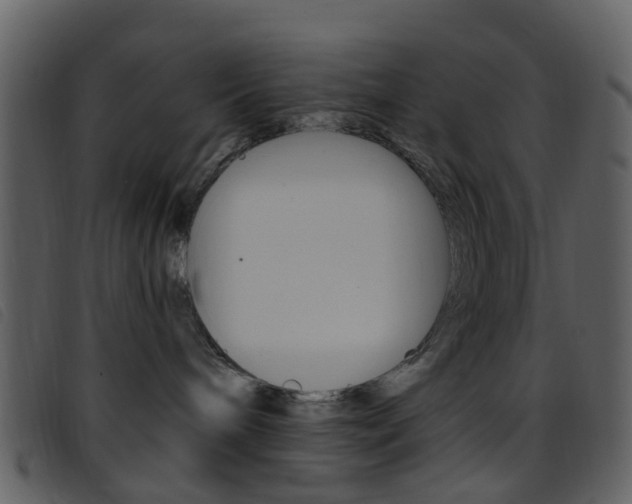 X0000096660240200802051003