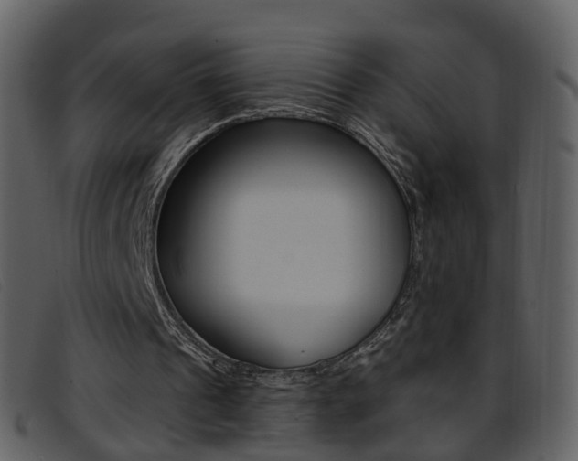X0000096660241200802051003