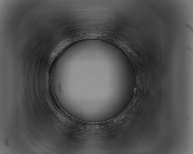 X0000096660242200802051003