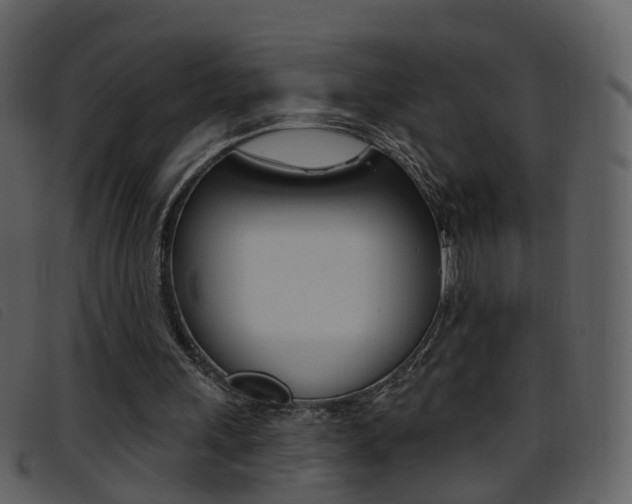 X0000096660243200802051003