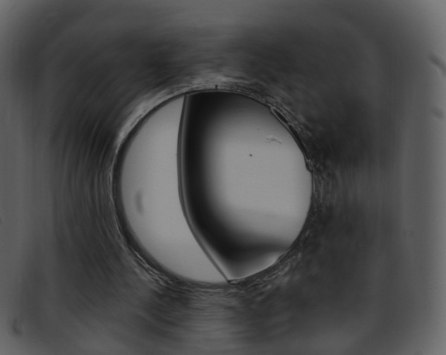 X0000096660244200802051003