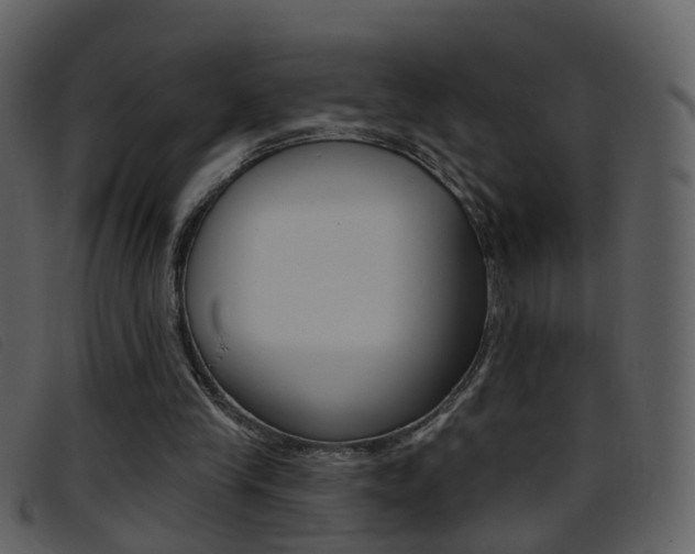 X0000096660245200802051003