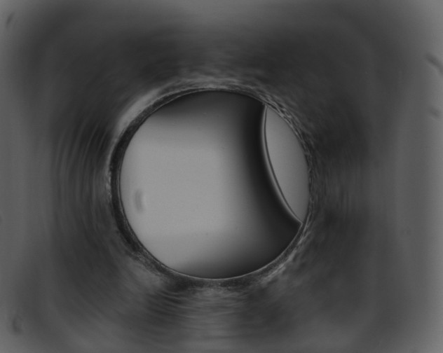X0000096660246200802051003