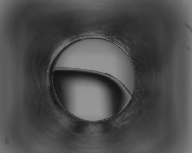 X0000096660248200802051003