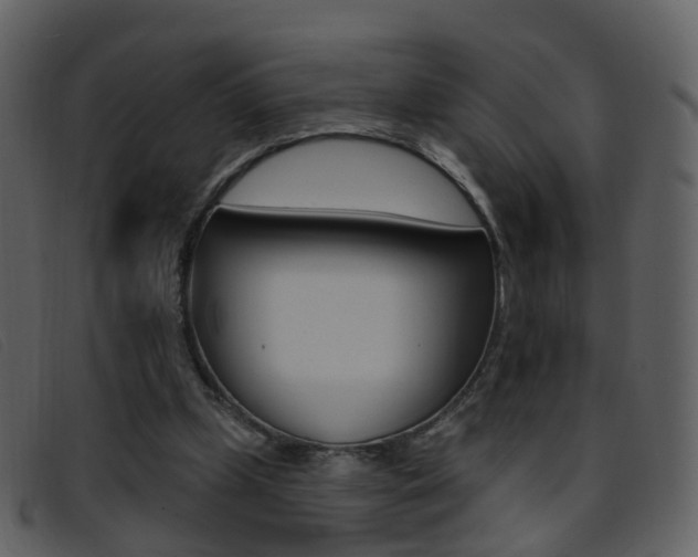 X0000096660249200802051003