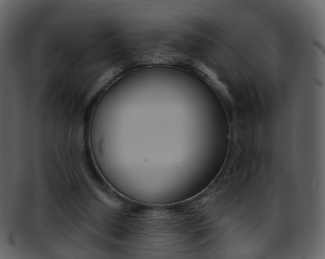 X0000096660250200802051003