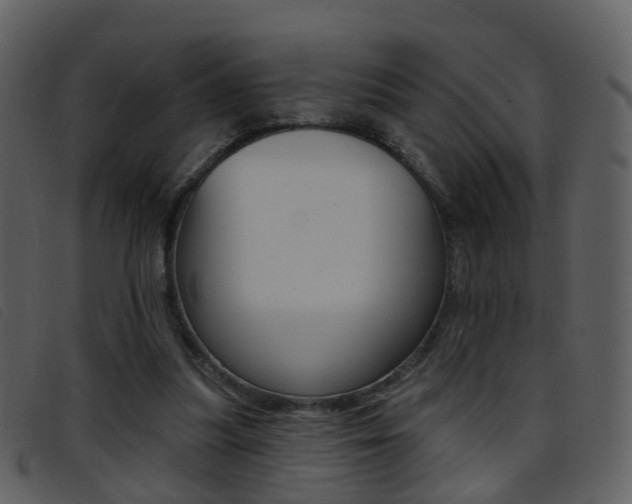 X0000096660251200802051003
