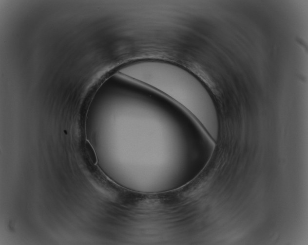X0000096660252200802051003