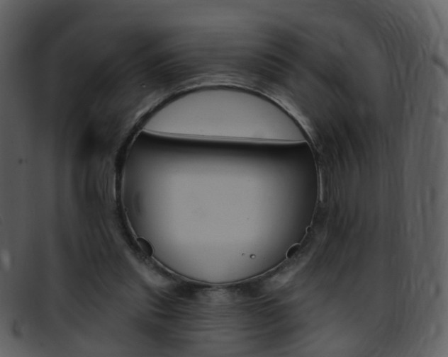 X0000096660253200802051003
