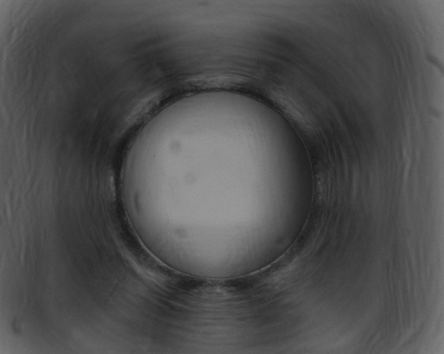 X0000096660254200802051003