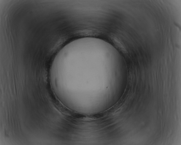 X0000096660255200802051003