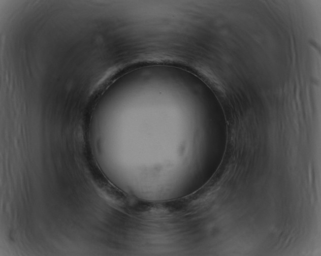 X0000096660256200802051003