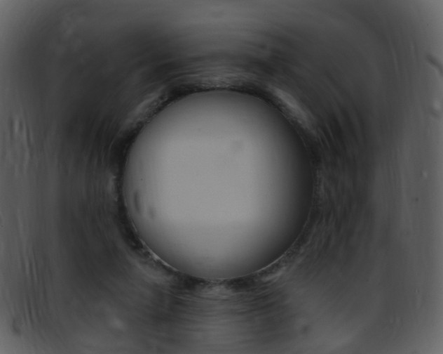 X0000096660258200802051003