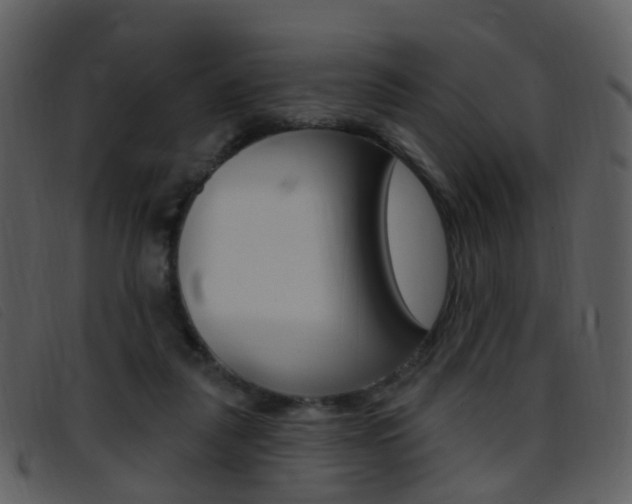 X0000096660259200802051003