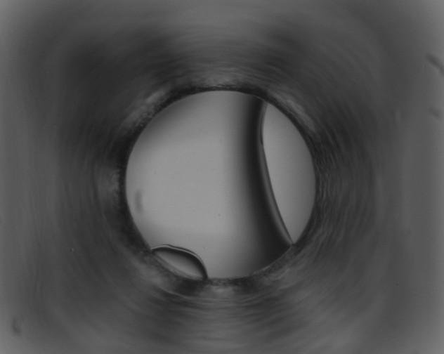 X0000096660260200802051003