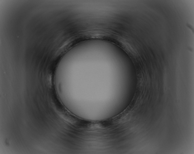 X0000096660262200802051003