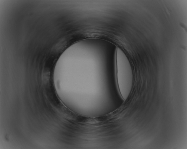 X0000096660263200802051003