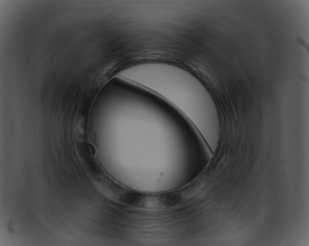 X0000096660264200802051003