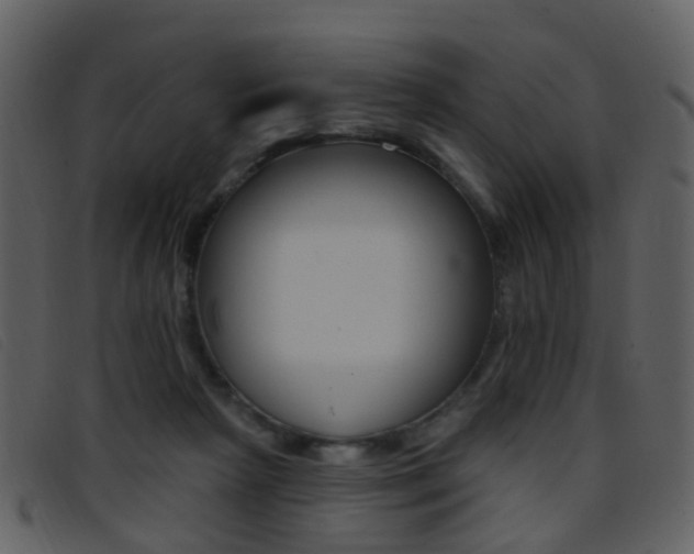 X0000096660265200802051003