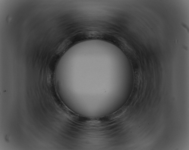 X0000096660266200802051003