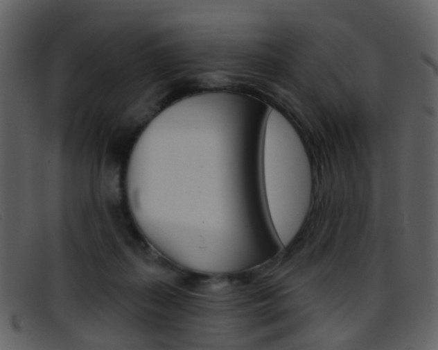 X0000096660267200802051003