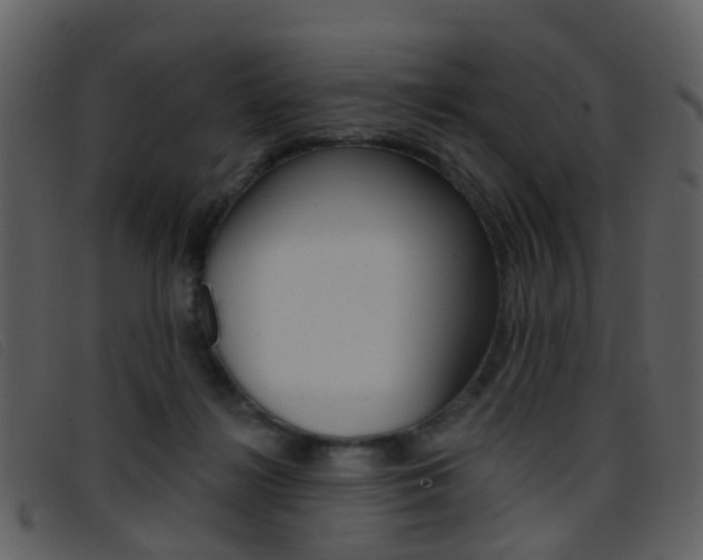 X0000096660268200802051003