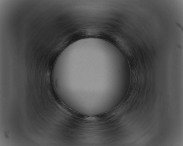 X0000096660269200802051003
