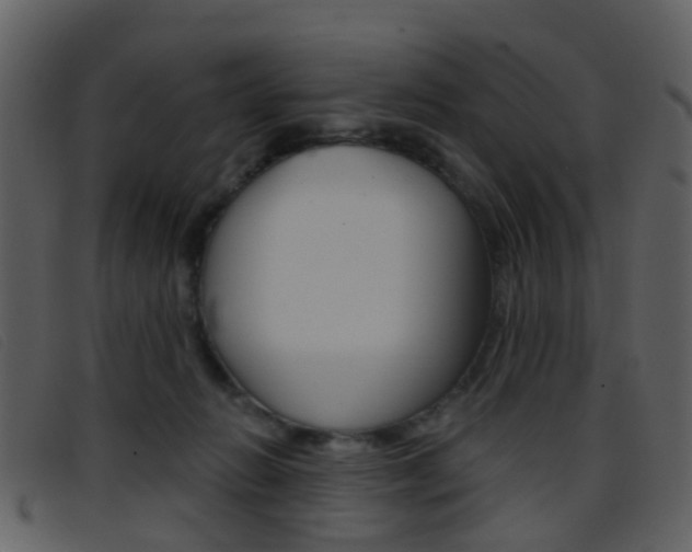X0000096660270200802051003