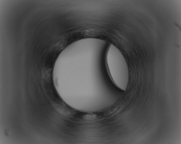 X0000096660271200802051003