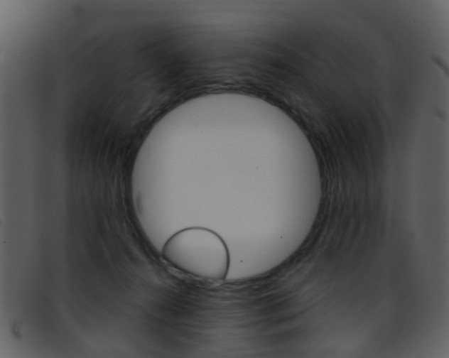 X0000096660272200802051003