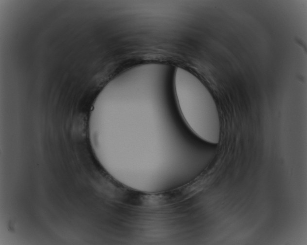 X0000096660273200802051003