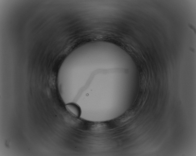 X0000096660274200802051003