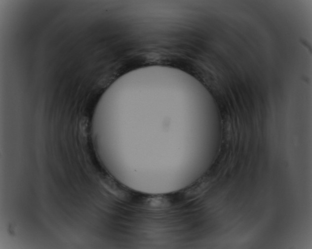 X0000096660275200802051003