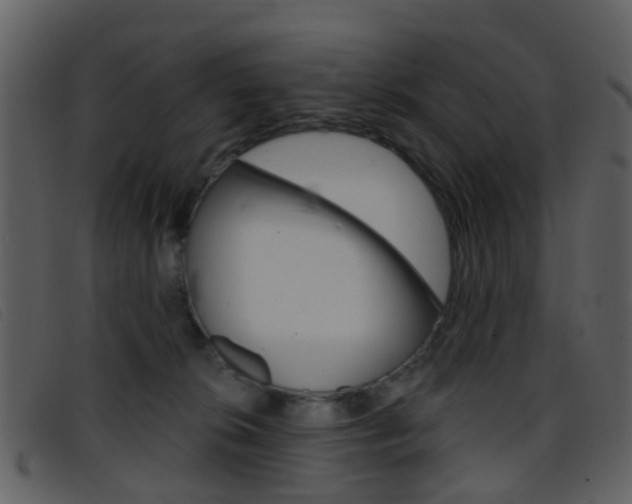 X0000096660276200802051003