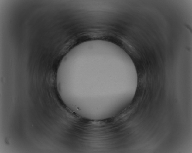 X0000096660277200802051003