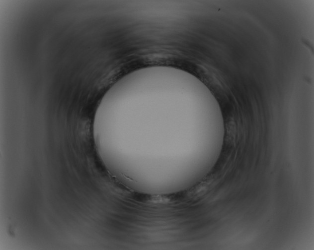 X0000096660278200802051003