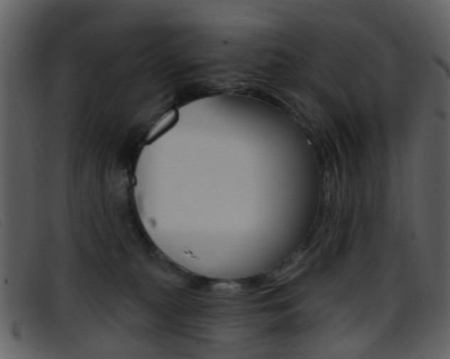 X0000096660279200802051003