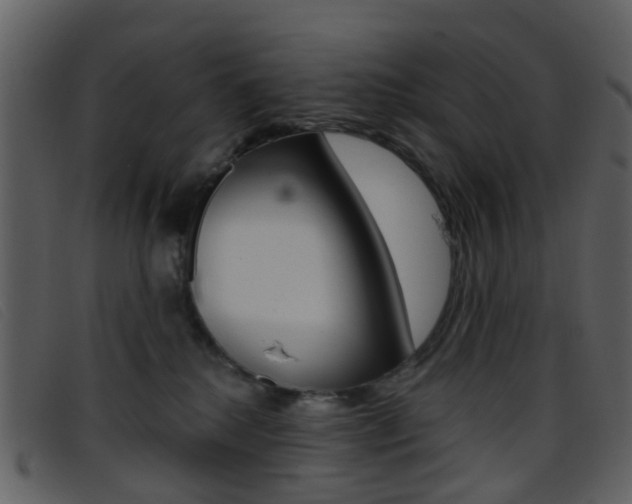 X0000096660280200802051003