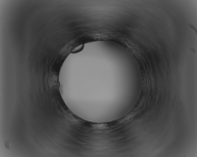 X0000096660281200802051003