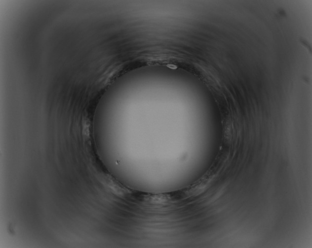X0000096660282200802051003