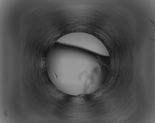 X0000096660284200802051003
